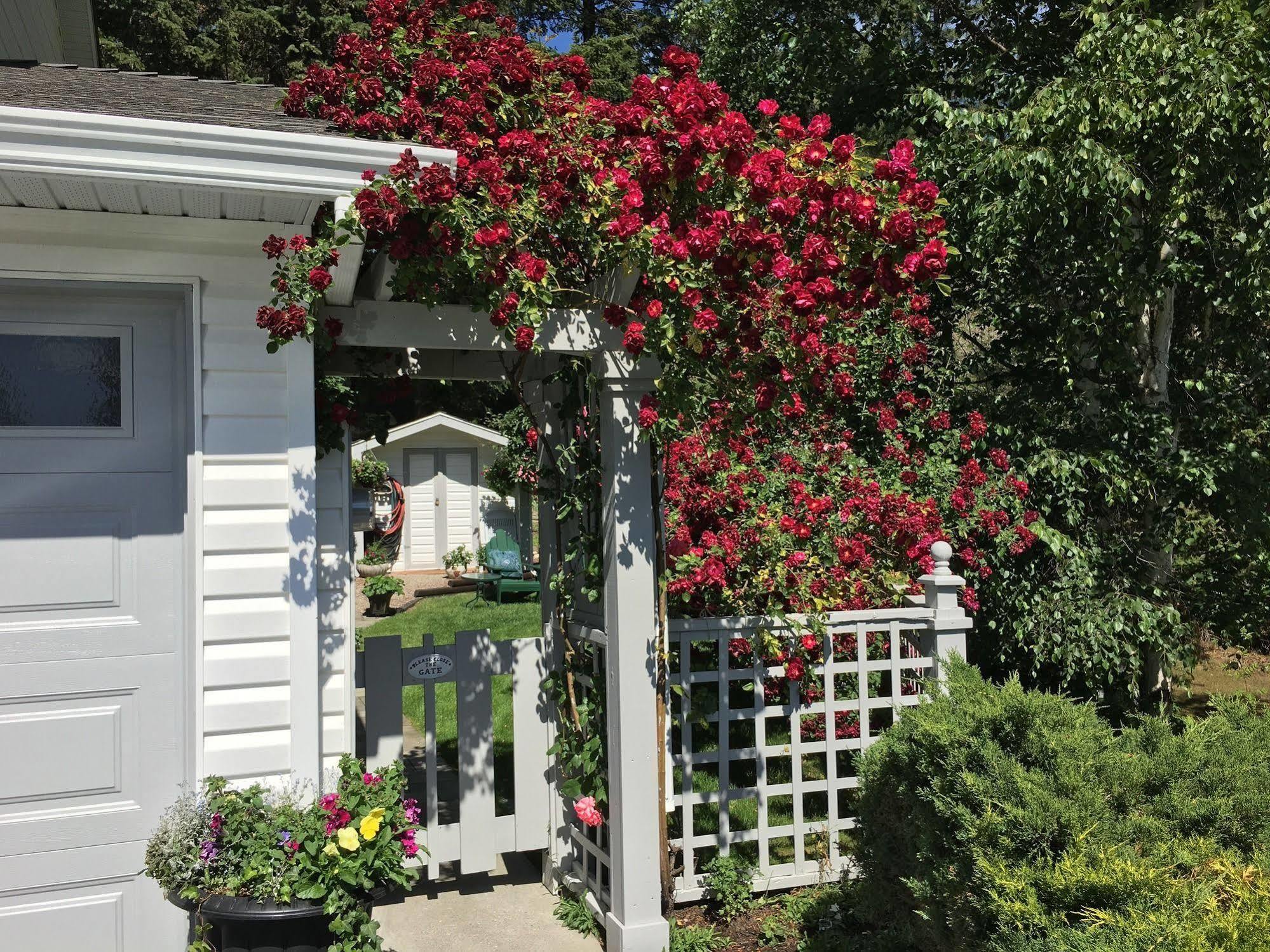 Alexandria House Bed & Breakfast West Kelowna Exteriör bild
